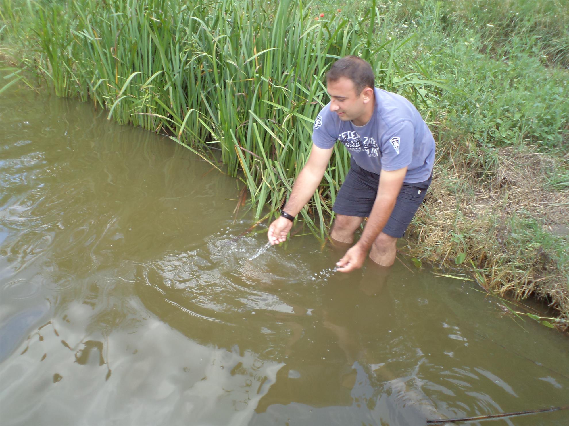 Magura 9 07.07.2013 - dsc01519.JPG